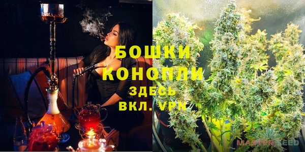 СК Горнозаводск