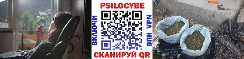 цена   Болотное  Псилоцибиновые грибы мухоморы 